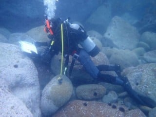 潜水調査